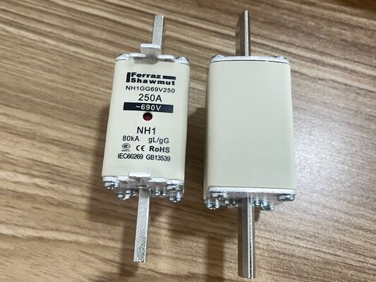 NH1GG69V250P 1250V 250A SiC MOSFET Module Low Rds ((on) 3.3mΩ การสลับเร็ว ความถี่สูง ความสูญเสียต่ํา ความหนาแน่นของพลังงานสูง เกรดอุตสาหกรรม สําหรับ Inverters PV และเครื่องขับเคลื่อนมอเตอร์